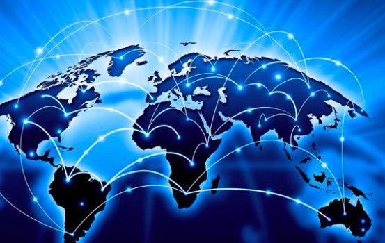 苦瓜网变什么了