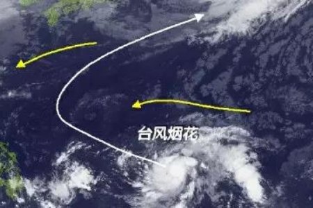 上海气象记者追风现场崩溃嘶吼,台风“烟花”究竟有多猛?