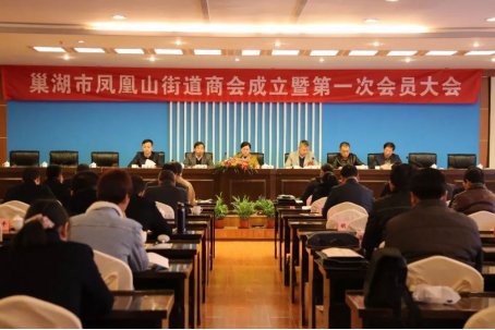 巢湖凤凰山街道社区电话