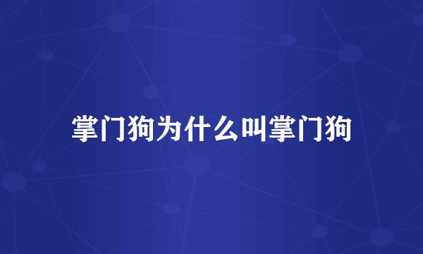 掌门狗为什么叫掌门狗