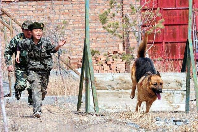 崇尚鹰式教育的他，让8岁女儿跟狼在一个笼子里，最后结局怎样？