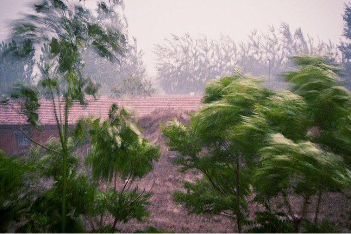 描写刮风的优美句子