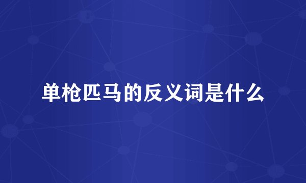 单枪匹马的反义词是什么