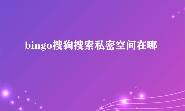bingo搜狗搜索私密空间在哪
