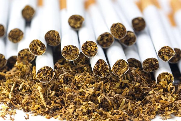 种植烟草对烟农身体的影响