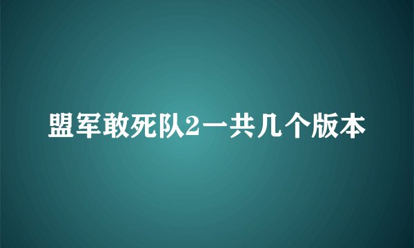 盟军敢死队2一共几个版本