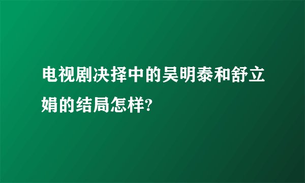 电视剧决择中的吴明泰和舒立娟的结局怎样?