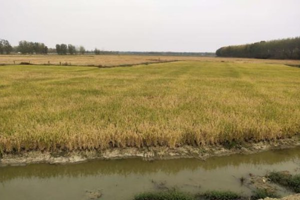 化为乌有造句子