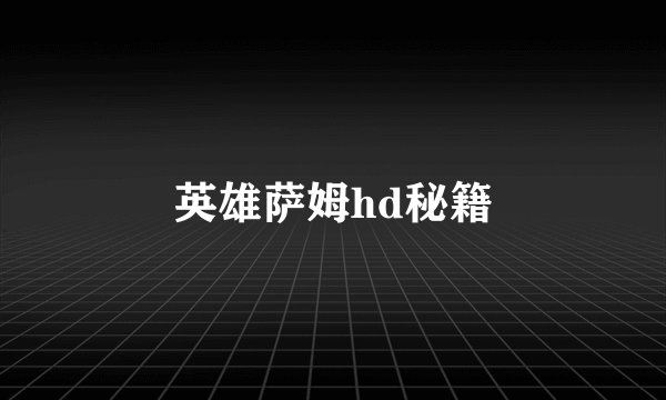 英雄萨姆hd秘籍