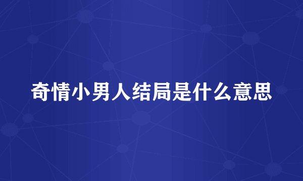 奇情小男人结局是什么意思