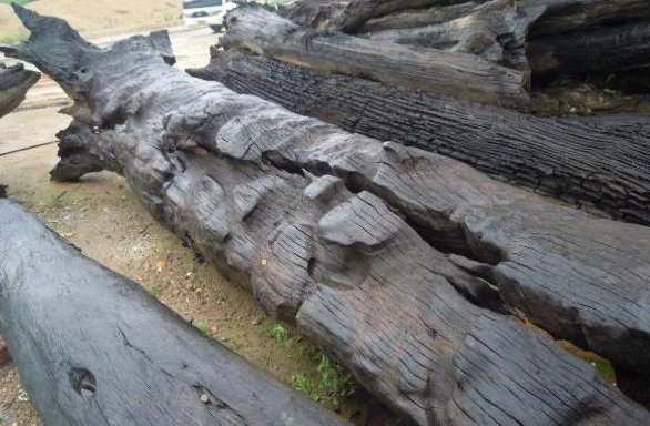 ebony是什么意思？