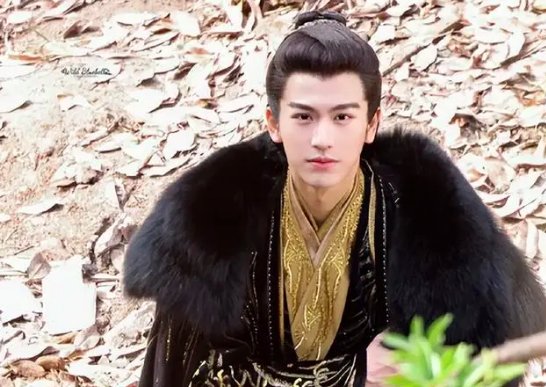 云之羽一周更新几集