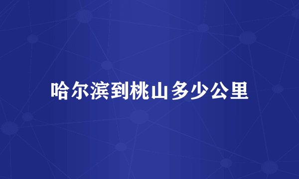 哈尔滨到桃山多少公里