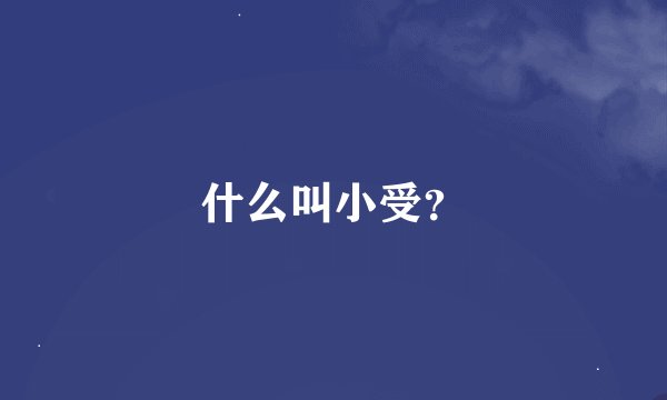 什么叫小受？