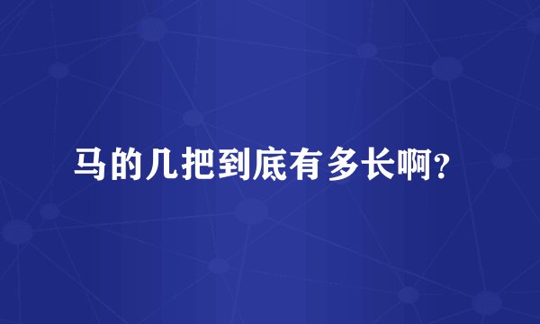 马的几把到底有多长啊？