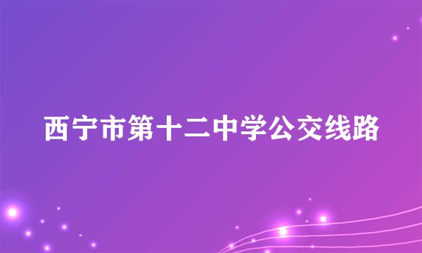 西宁市第十二中学公交线路