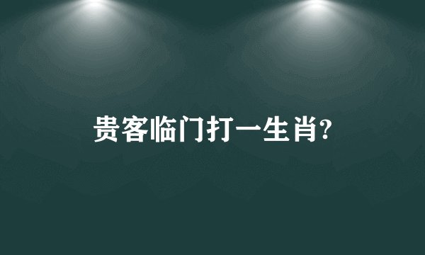 贵客临门打一生肖?