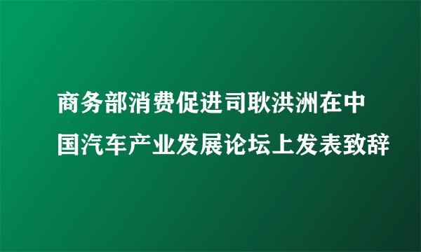商务部消费促进司耿洪洲在中国汽车产业发展论坛上发表致辞