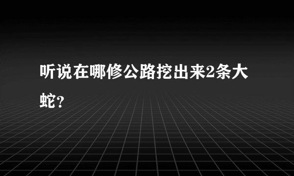 听说在哪修公路挖出来2条大蛇？