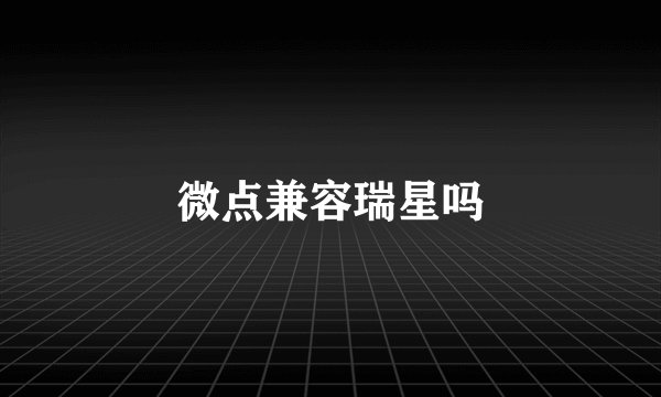 微点兼容瑞星吗