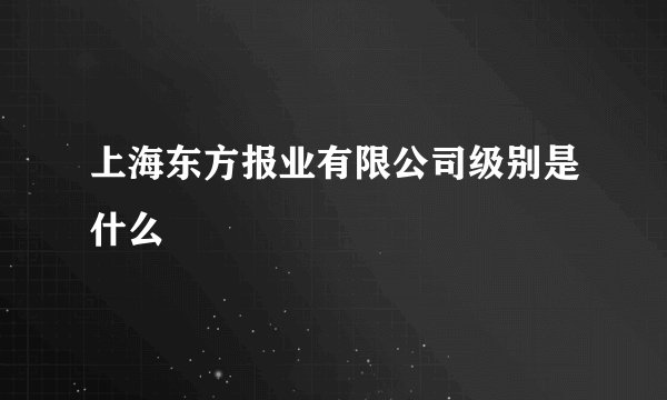 上海东方报业有限公司级别是什么