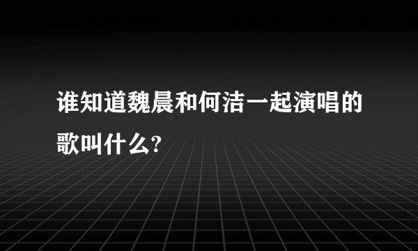 谁知道魏晨和何洁一起演唱的歌叫什么?