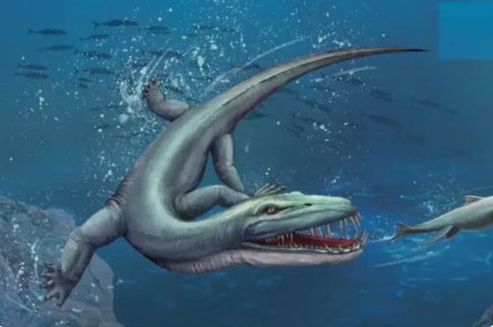 十大深海巨兽都是什么？