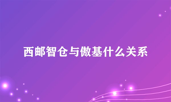 西邮智仓与傲基什么关系