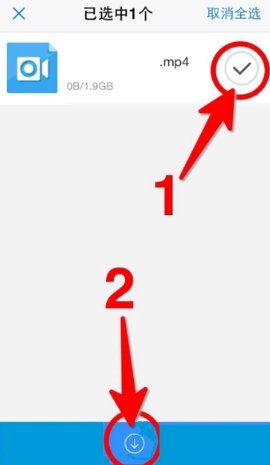如何下载BT种子？