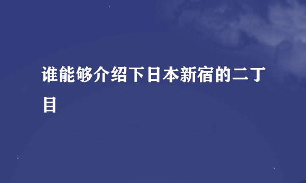 谁能够介绍下日本新宿的二丁目