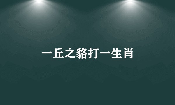 一丘之貉打一生肖