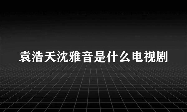 袁浩天沈雅音是什么电视剧