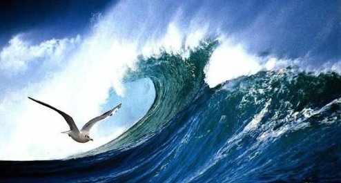 “在苍茫的大海上，狂风卷集着乌云。”