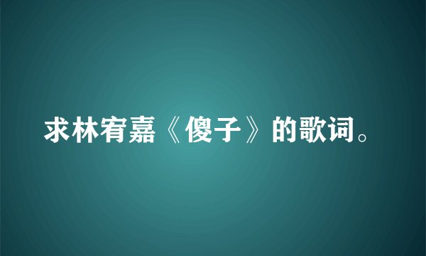 求林宥嘉《傻子》的歌词。