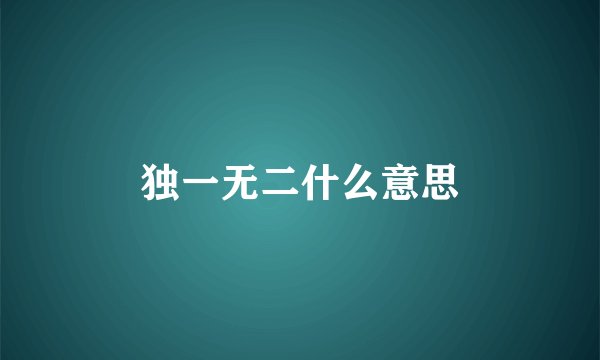 独一无二什么意思