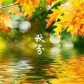 二十四节气分别是什么？