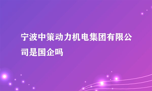 宁波中策动力机电集团有限公司是国企吗
