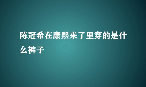 陈冠希在康熙来了里穿的是什么裤子