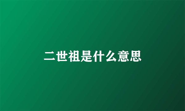 二世祖是什么意思