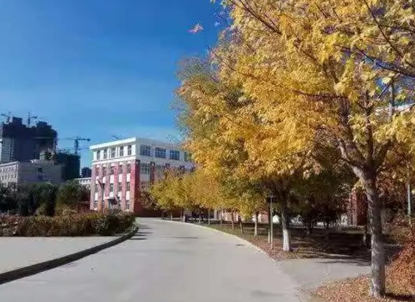 齐齐哈尔工程学院招生办电话