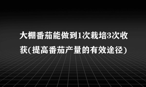 大棚番茄能做到1次栽培3次收获(提高番茄产量的有效途径)
