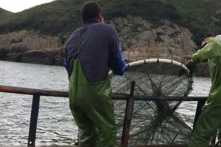 淘读音 请问：淘的拼音怎么拼？