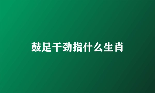 鼓足干劲指什么生肖