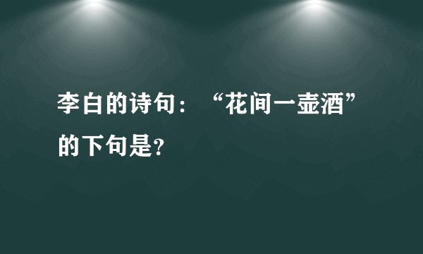 李白的诗句：“花间一壶酒”的下句是？