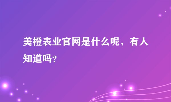 美橙表业官网是什么呢，有人知道吗？