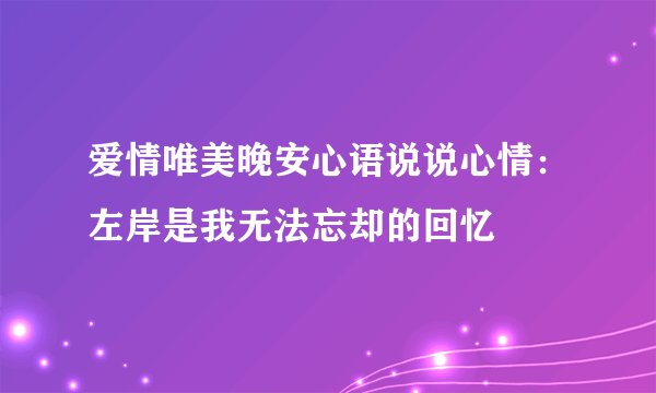 爱情唯美晚安心语说说心情：左岸是我无法忘却的回忆