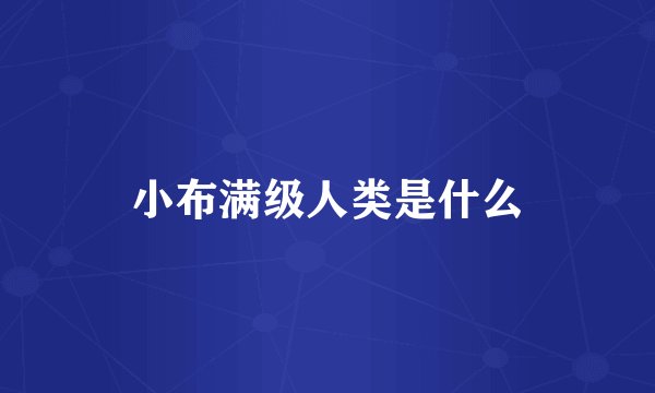 小布满级人类是什么