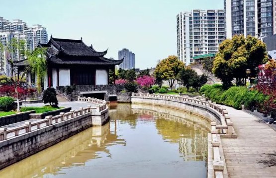 常州卫校2023年分数线是多少