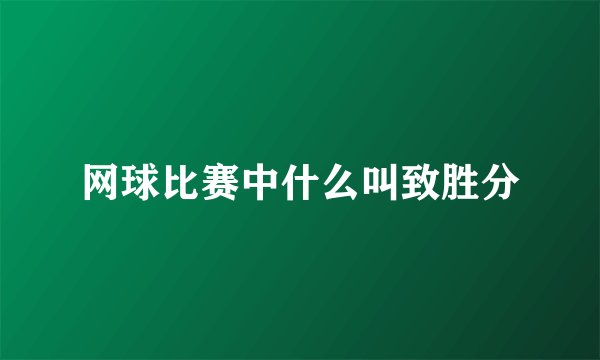 网球比赛中什么叫致胜分