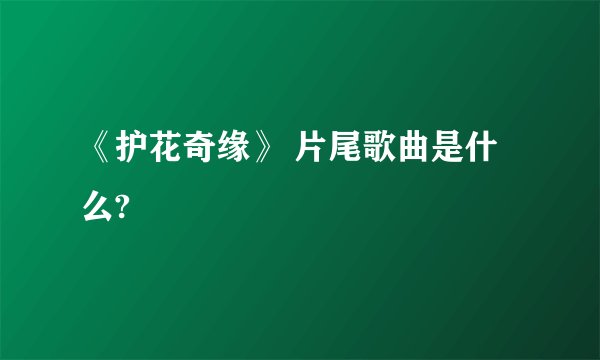 《护花奇缘》 片尾歌曲是什么?